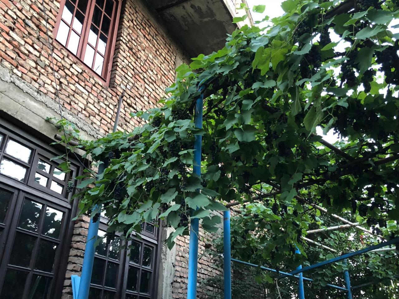 Lucky Family Hotel Tbilisi Ngoại thất bức ảnh