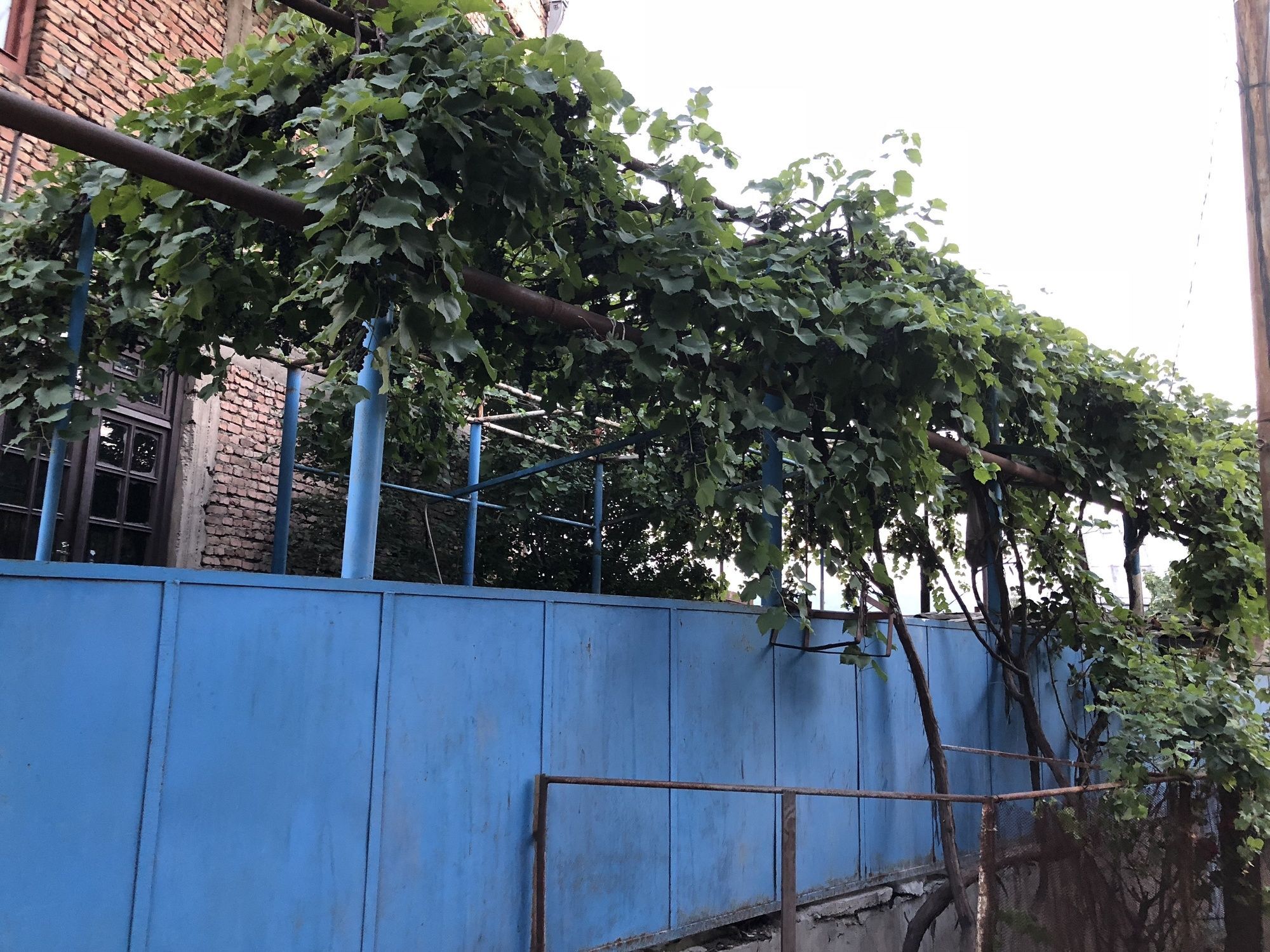 Lucky Family Hotel Tbilisi Ngoại thất bức ảnh